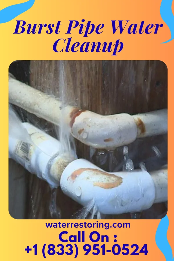 Burst Pipe Water Cleanup in Pe Ell, WA