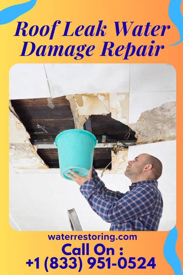 Roof Leak Water Damage Repair in Pe Ell, WA