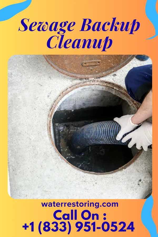 Sewage Backup Cleanup in Pe Ell, WA