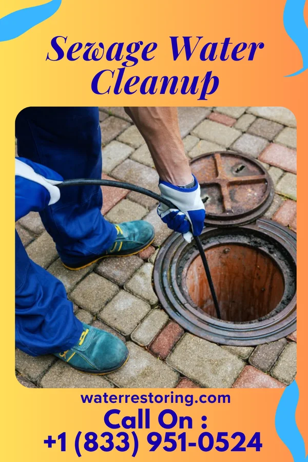 Sewage Water Cleanup in Pe Ell, WA